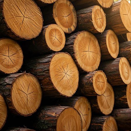 تجارت چوب در ایران