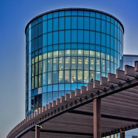 رواق چوب پلاست